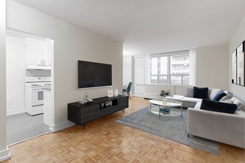 A modern living room with a grey couch and a black TV.